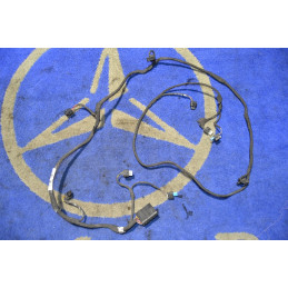 PARKTRONIC ELECTRICAL...