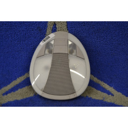 Rear Headliner Interior...