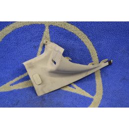 Left C-Pillar Trim Panel...