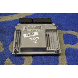 Engine Control Module ECU...