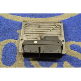 Engine Control Module ECU...