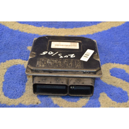 Engine Control Module ECU...