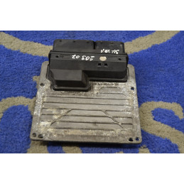 Engine Control Module ECU...