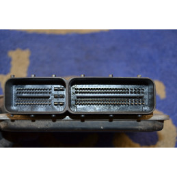 Engine Control Module ECU...
