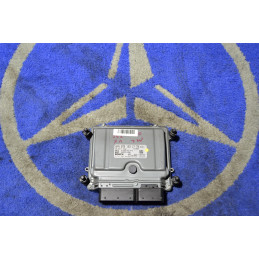 engine control unit ecu...