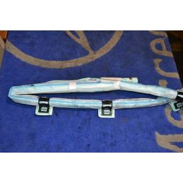 RIGHT WINDOW AIRBAG