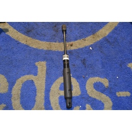 BONNET GAS STRUT PAIR ,...