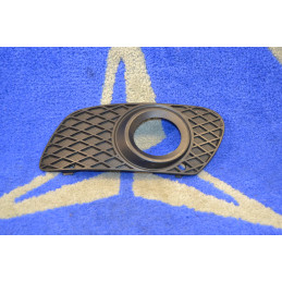 Front Left Foglight Grill...