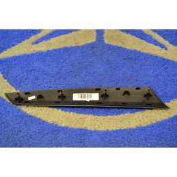 Trim Strip Right Front Door...